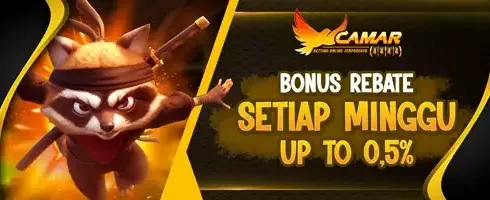 VIP Cashback Slot Game 0.5% promotion