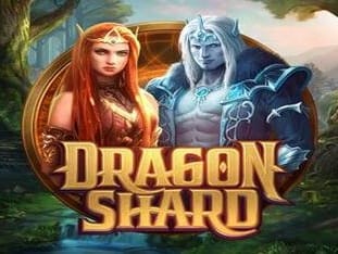 Dragon Shard game cover